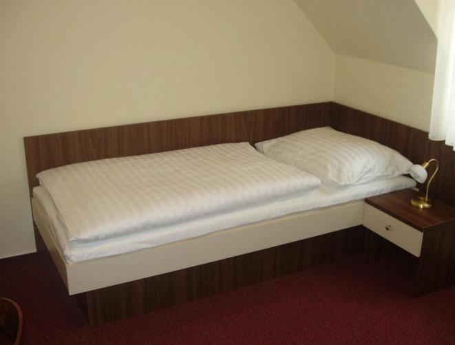 Hotel Altenberg Staré Hory Δωμάτιο φωτογραφία