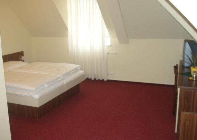 Hotel Altenberg Staré Hory Δωμάτιο φωτογραφία